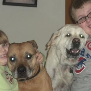 Meet your Posher, Donna